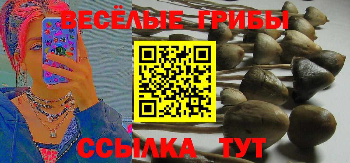 Псилоцибиновые грибы MAGIC MUSHROOMS  Вход с VPN  Дедовск 